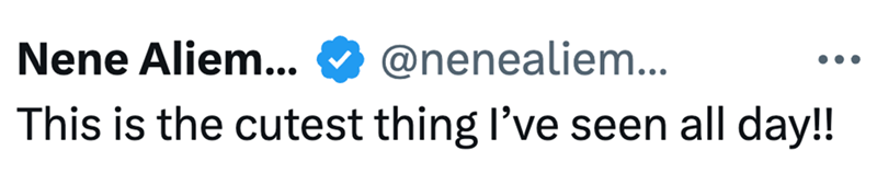 Nene Aliem... @nenealiem... This is the cutest thing I've seen all day!!