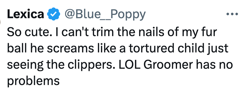 Lexica @Blue_Poppy ... So cute. I can't trim the nails of my fur ball he screams like a tortured child just seeing the clippers. LOL Groomer has no problems