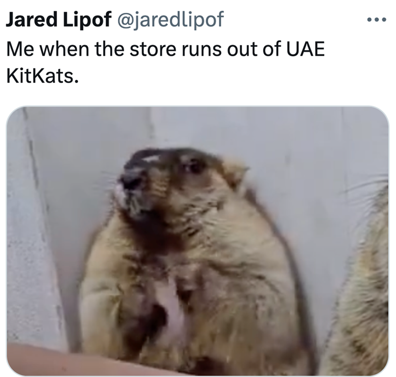 Jared Lipof @jaredlipof Me when the store runs out of UAE KitKats. ...