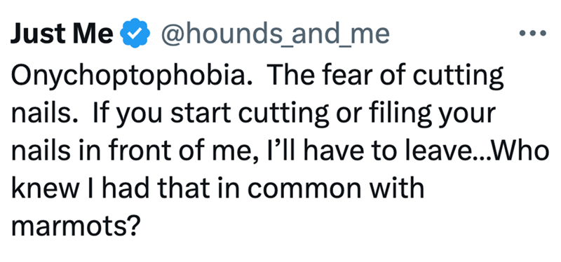 Just Me @hounds_and_me ... Onychoptophobia. The fear of cutting nails. If you start cutting or filing your nails in front of me, I'll have to leave...Who knew I had that in common with marmots?