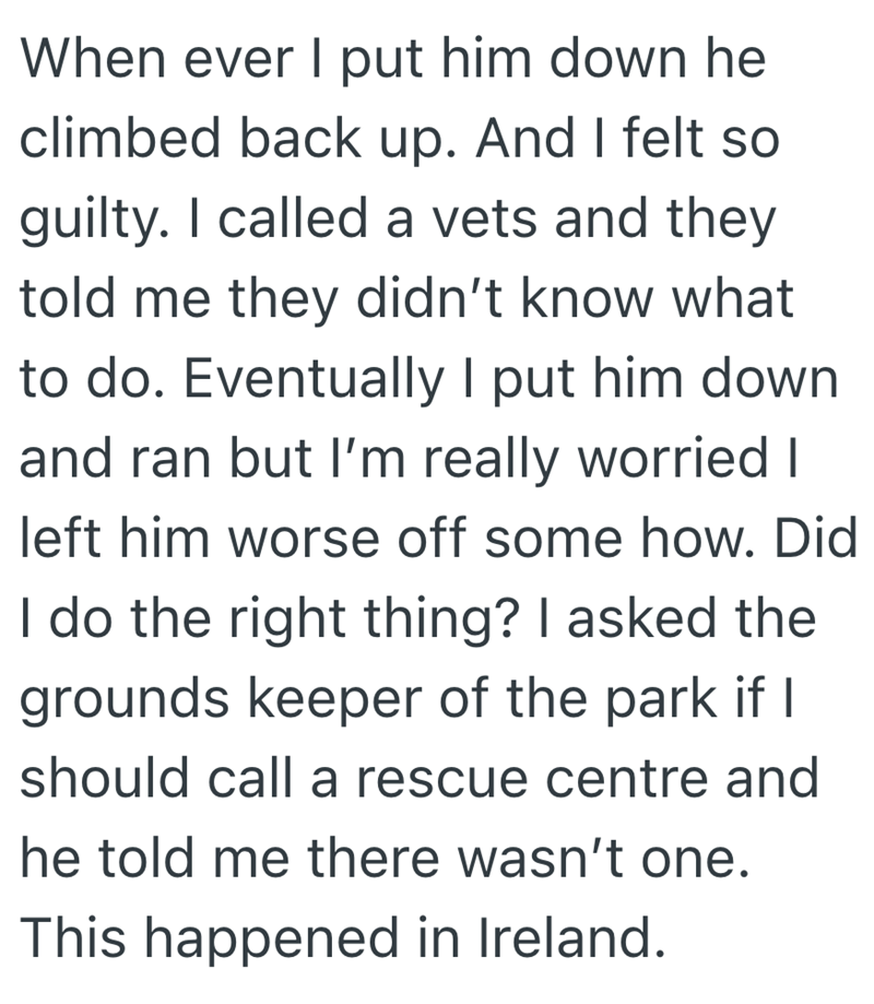 When ever I put him down he climbed back up. And I felt so guilty. I called a vets and they told me they didn't know what to do. Eventually I put him down and ran but I'm really worried I left him worse off some how. Did I do the right thing? I asked the grounds keeper of the park if I should call a rescue centre and he told me there wasn't one. This happened in Ireland.