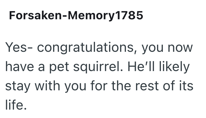 Forsaken-Memory1785 Yes- congratulations, you now have a pet squirrel. He'll likely stay with you for the rest of its life.