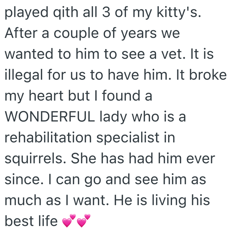 played qith all 3 of my kitty's. After a couple of years we wanted to him to see a vet. It is illegal for us to have him. It broke my heart but I found a WONDERFUL lady who is a rehabilitation specialist in squirrels. She has had him ever since. I can go and see him as much as I want. He is living his best life