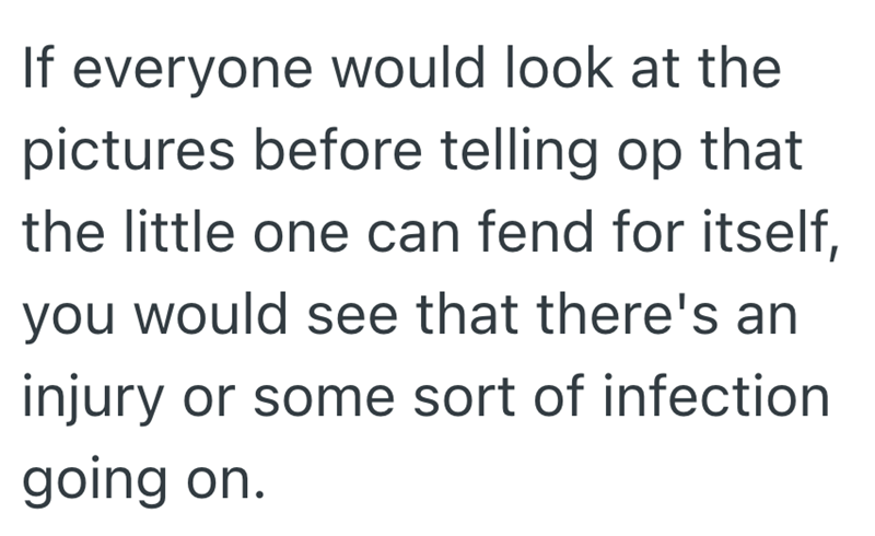If everyone would look at the pictures before telling op that the little one can fend for itself, you would see that there's an injury or some sort of infection going on.