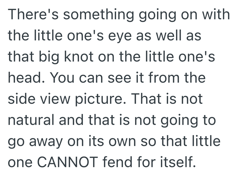 There's something going on with the little one's eye as well as that big knot on the little one's head. You can see it from the side view picture. That is not natural and that is not going to go away on its own so that little one CANNOT fend for itself.