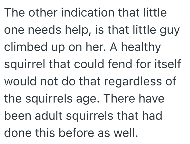 The other indication that little one needs help, is that little guy climbed up on her. A healthy squirrel that could fend for itself would not do that regardless of the squirrels age. There have been adult squirrels that had done this before as well.