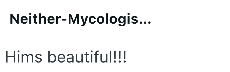 Neither-Mycologis... Hims beautiful!!!