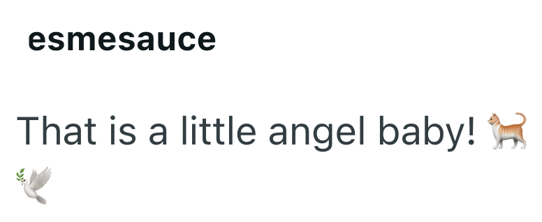 esmesauce That is a little angel baby!