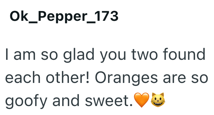 Ok_Pepper_173 I am so glad you two found each other! Oranges are so goofy and sweet.