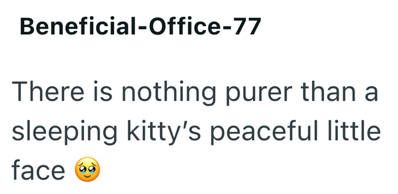 Beneficial-Office-77 There is nothing purer than a sleeping kitty's peaceful little face