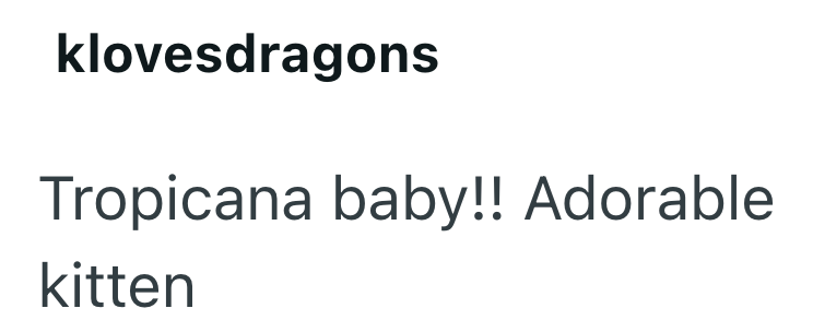 klovesdragons Tropicana baby!! Adorable kitten