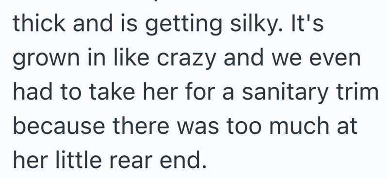 thick and is getting silky. It's grown in like crazy and we even had to take her for a sanitary trim because there was too much at her little rear end.