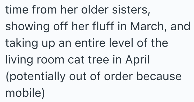 time from her older sisters, showing off her fluff in March, and taking up an entire level of the living room cat tree in April (potentially out of order because mobile)