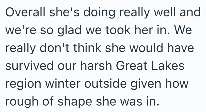 Overall she's doing really well and we're so glad we took her in. We really don't think she would have survived our harsh Great Lakes region winter outside given how rough of shape she was in.