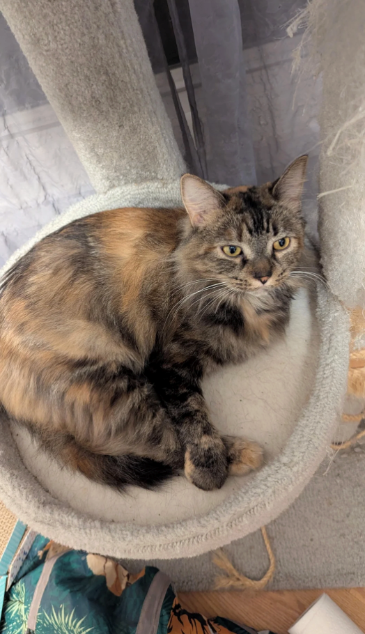 Cheezburger Image 10623626752