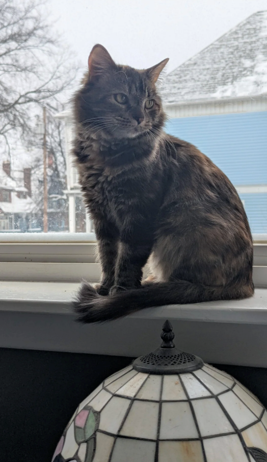 Cheezburger Image 10623627008