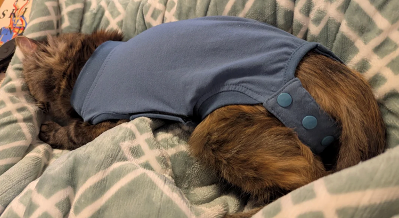 Cheezburger Image 10623627264