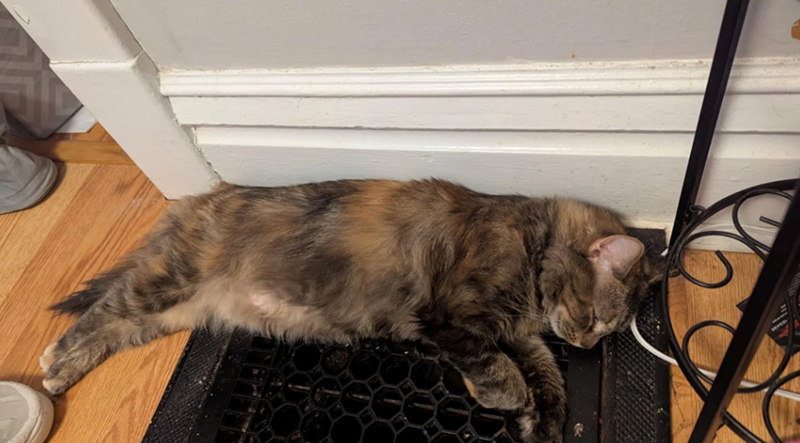 Cheezburger Image 10623627520