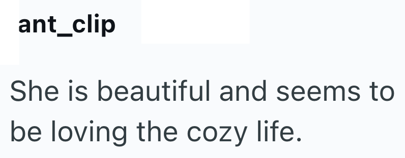 ant_clip She is beautiful and seems to be loving the cozy life.