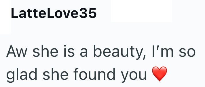 LatteLove35 Aw she is a beauty, I'm so glad she found you