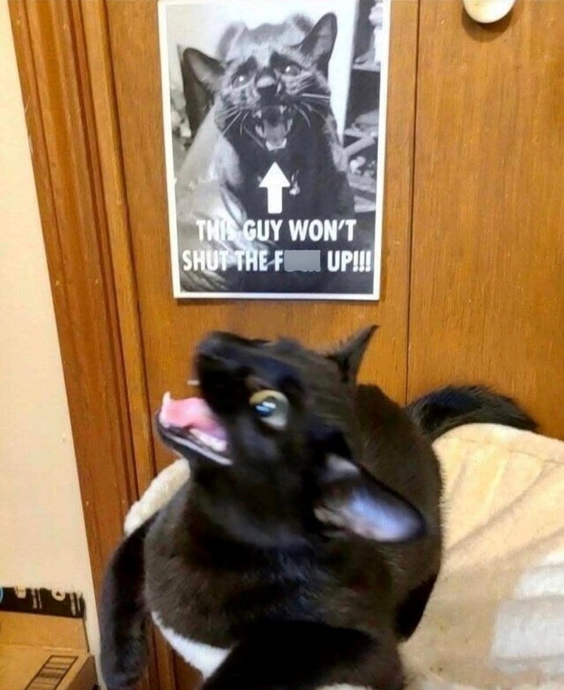 THIS GUY WON'T SHUT THE FI UP!!!