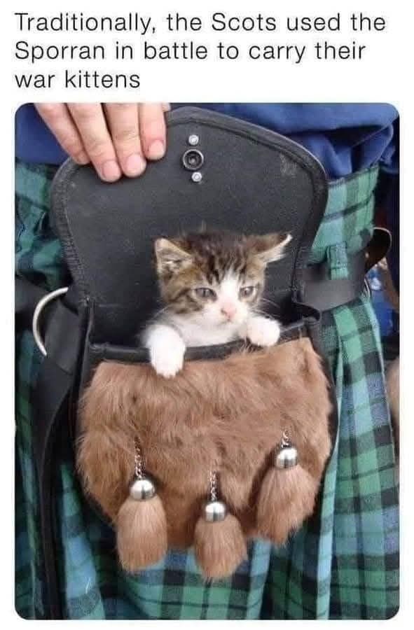 Traditionally, the Scots used the Sporran in battle to carry their war kittens
