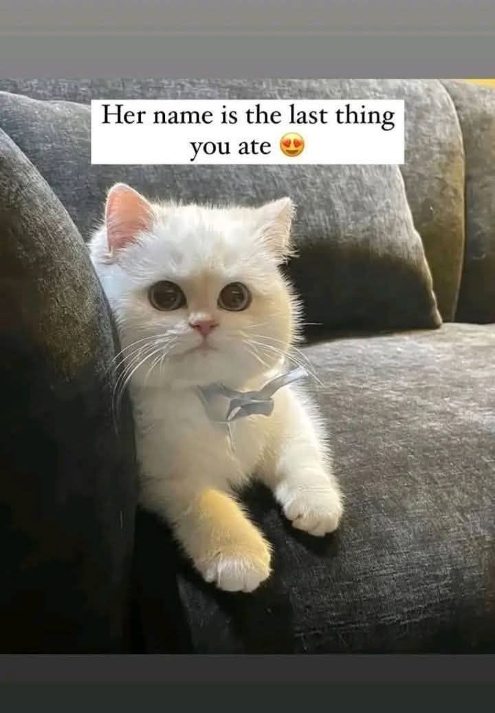 Her name is the last thing you ate