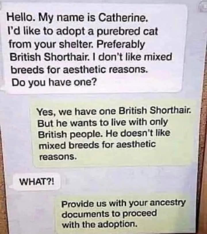 Hello. My name is Catherine. I'd like to adopt a purebred cat from your shelter. Preferably British Shorthair. I don't like mixed breeds for aesthetic reasons. Do you have one? Yes, we have one British Shorthair. But he wants to live with only British people. He doesn't like mixed breeds for aesthetic reasons. WHAT?! Provide us with your ancestry documents to proceed with the adoption.