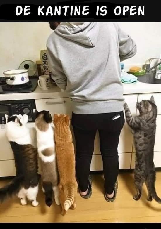 DE KANTINE IS OPEN 12 W DEBE