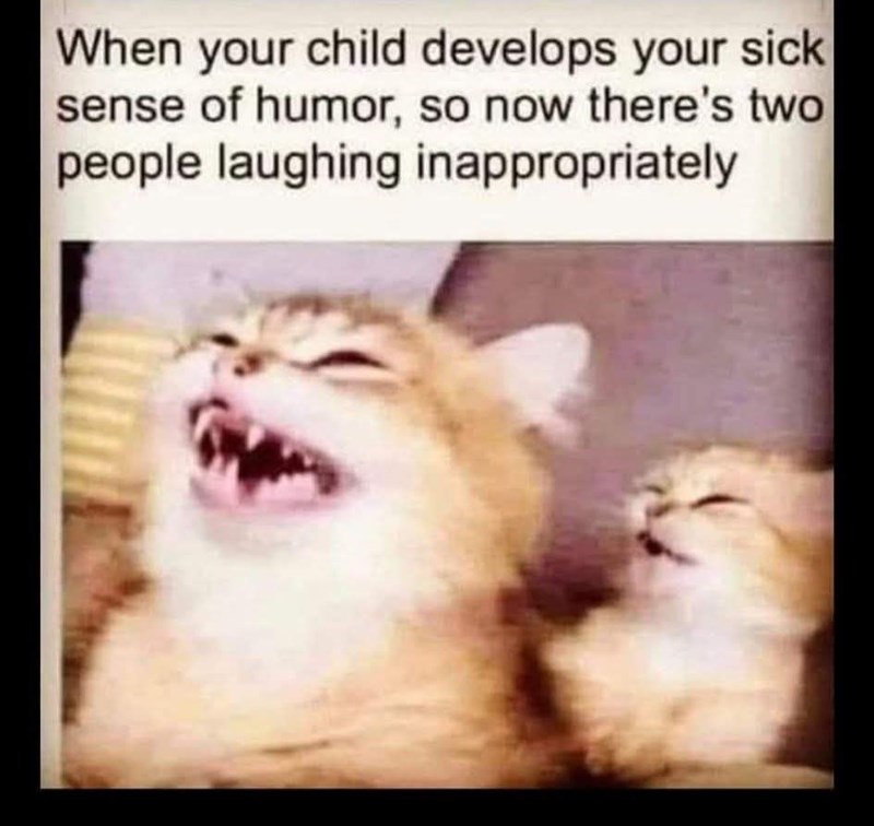 When your child develops your sick sense of humor, so now there's two people laughing inappropriately