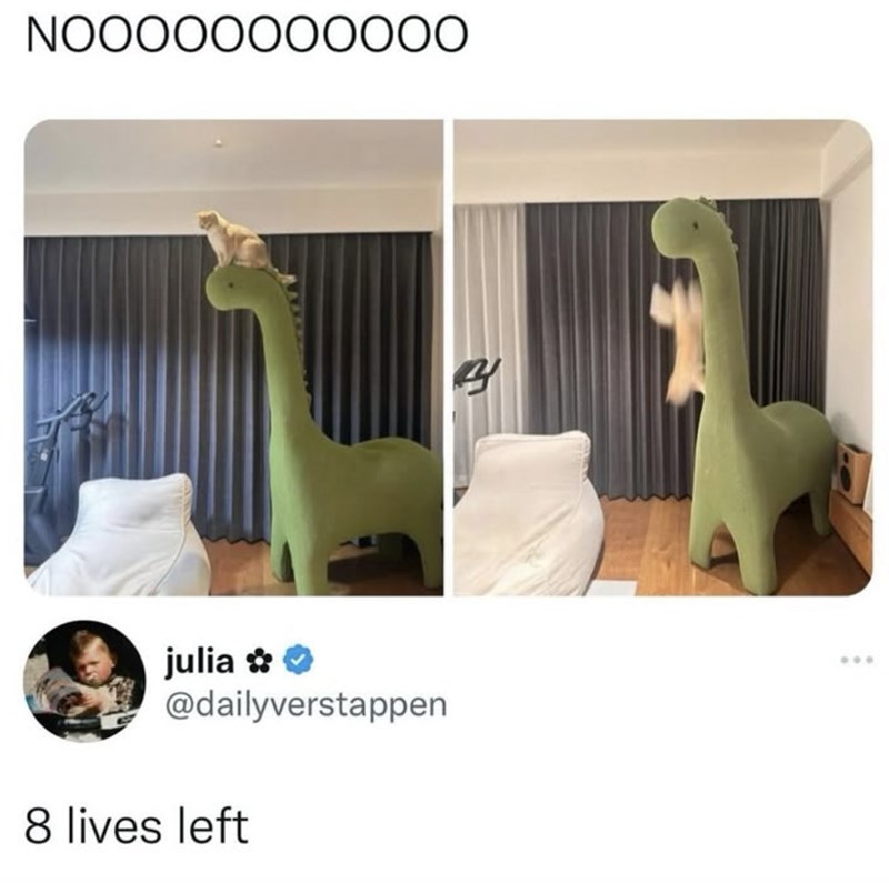 NOOOOOOO0000 julia ✰✰ @dailyverstappen 8 lives left