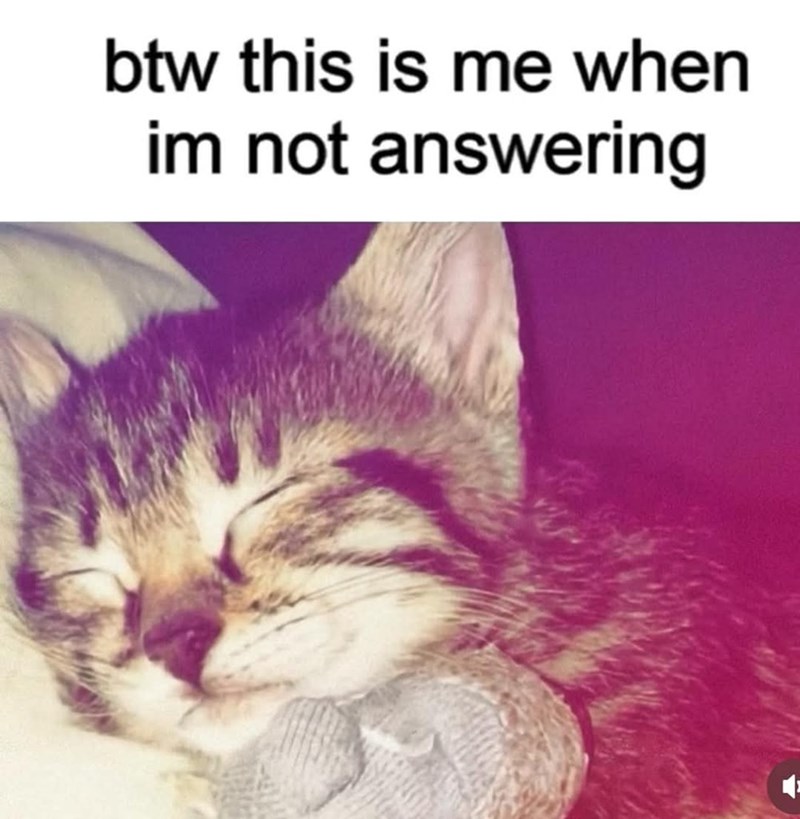 btw this is me when im not answering