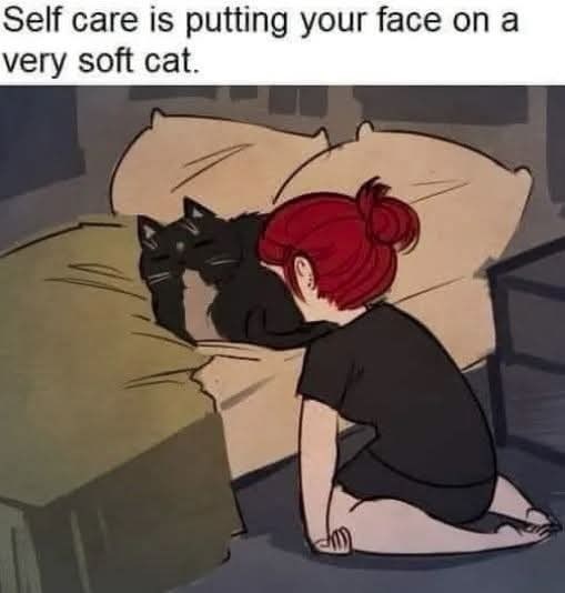 Self care is putting your face on a very soft cat.