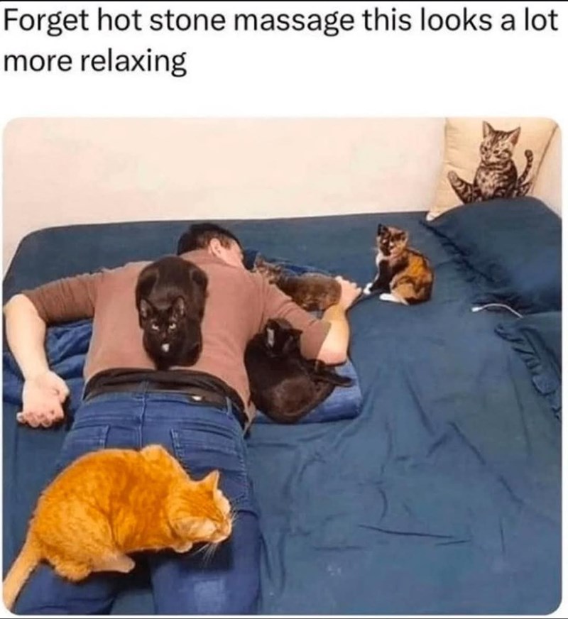 Forget hot stone massage this looks a lot more relaxing