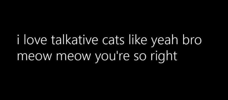 i love talkative cats like yeah bro meow meow you're so right