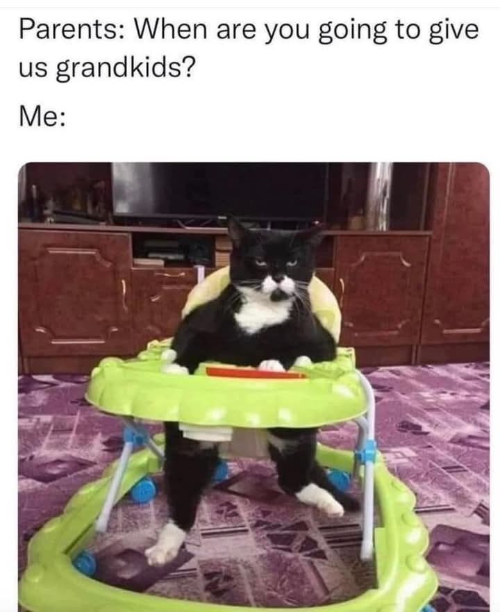 Parents: When are you going to give us grandkids? Me: