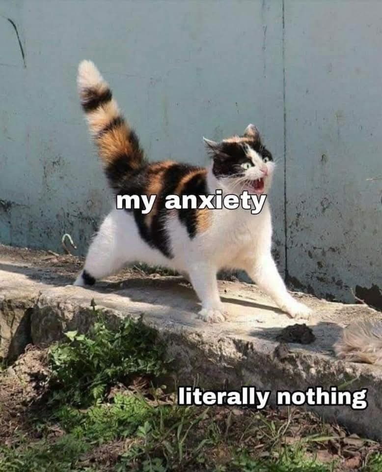my anxiety literally nothing