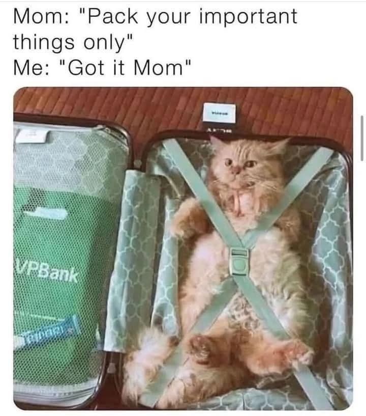 Mom: "Pack your important things only" Me: "Got it Mom" VPBank 1
