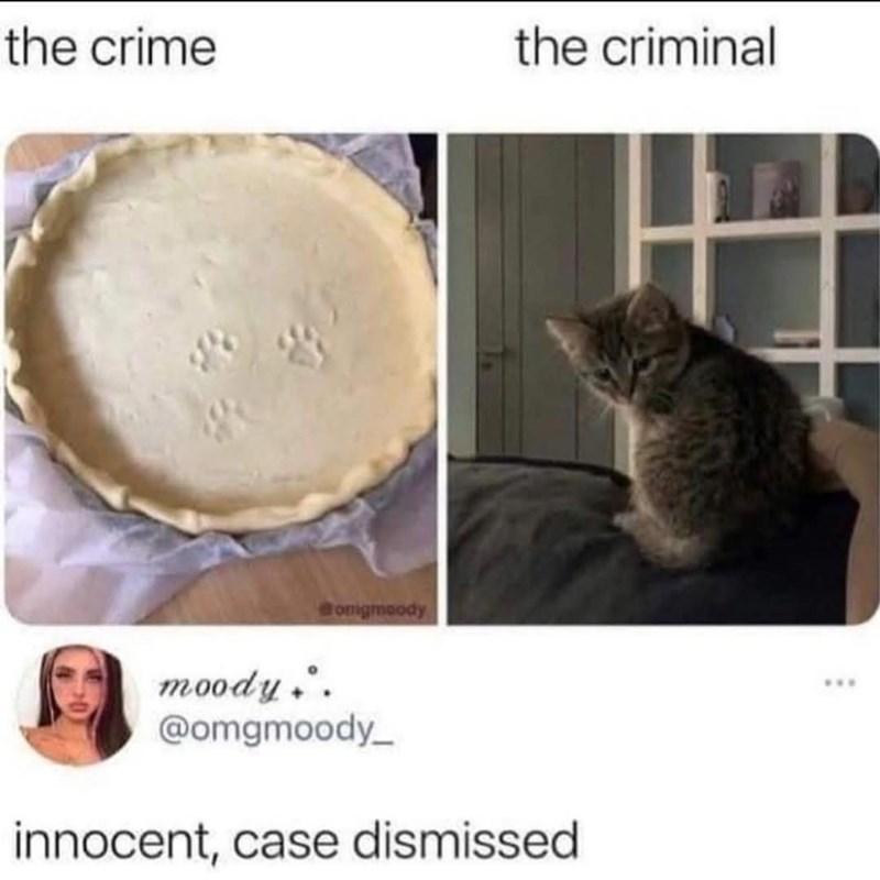 the crime the criminal onigmoody moody.. @omgmoody_ innocent, case dismissed ***