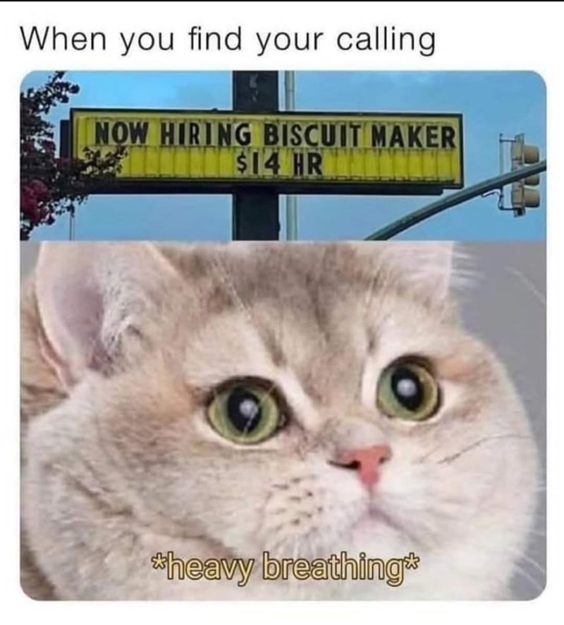 When you find your calling NOW HIRING BISCUIT MAKER $14 HR *heavy breathing*