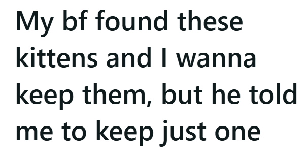 My bf found these kittens and I wanna keep them, but he told me to keep just one