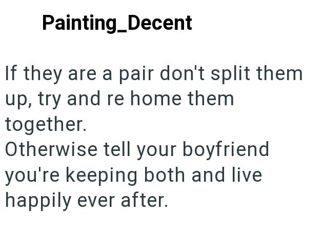Painting_Decent If they are a pair don't split them up, try and re home them together. Otherwise tell your boyfriend you're keeping both and live happily ever after.