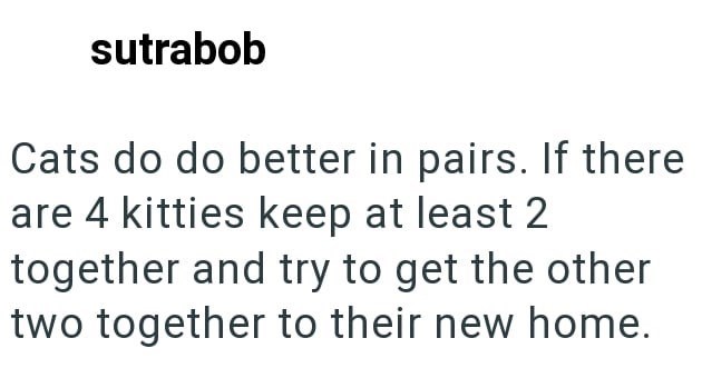 sutrabob Cats do do better in pairs. If there are 4 kitties keep at least 2 together and try to get the other two together to their new home.