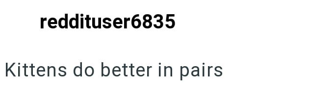 reddituser6835 Kittens do better in pairs