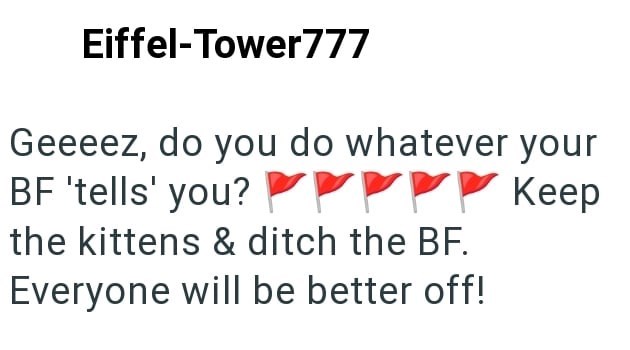 Eiffel-Tower777 Geeeez, do you do whatever your BF 'tells' you? P the kittens & ditch the BF. Everyone will be better off! Keep
