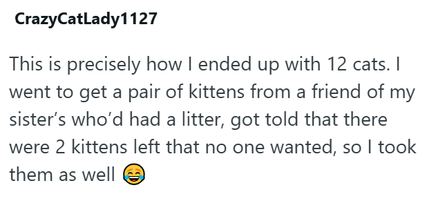 CrazyCatLady1127 This is precisely how I ended up with 12 cats. I went to get a pair of kittens from a friend of my sister's who'd had a litter, got told that there were 2 kittens left that no one wanted, so I took them as well