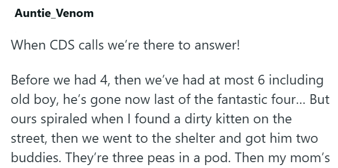 Auntie_Venom When CDS calls we're there to answer! Before we had 4, then we've had at most 6 including old boy, he's gone now last of the fantastic four... But ours spiraled when I found a dirty kitten on the street, then we went to the shelter and got him two buddies. They're three peas in a pod. Then my mom's