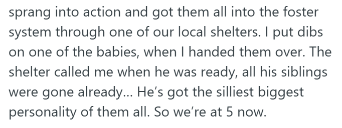 sprang into action and got them all into the foster system through one of our local shelters. I put dibs on one of the babies, when I handed them over. The shelter called me when he was ready, all his siblings were gone already... He's got the silliest biggest personality of them all. So we're at 5 now.