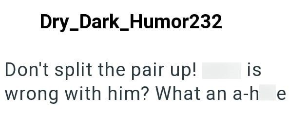 Dry_Dark_Humor232 Don't split the pair up! is wrong with him? What an a-he