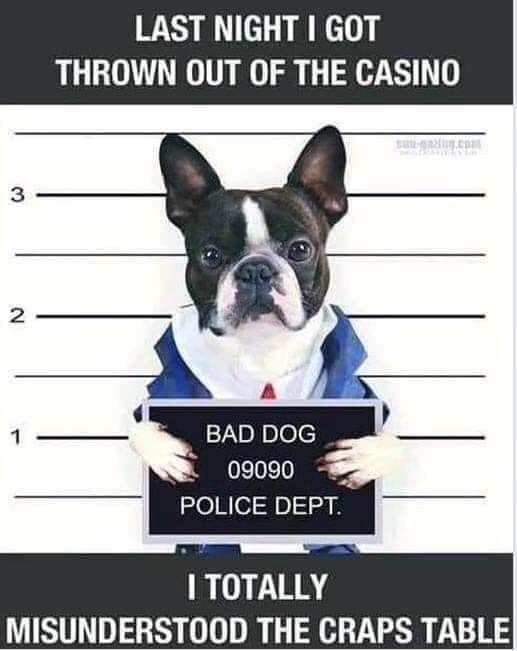 3 2 LAST NIGHT I GOT THROWN OUT OF THE CASINO 1 BAD DOG 09090 POLICE DEPT. I TOTALLY MISUNDERSTOOD THE CRAPS TABLE